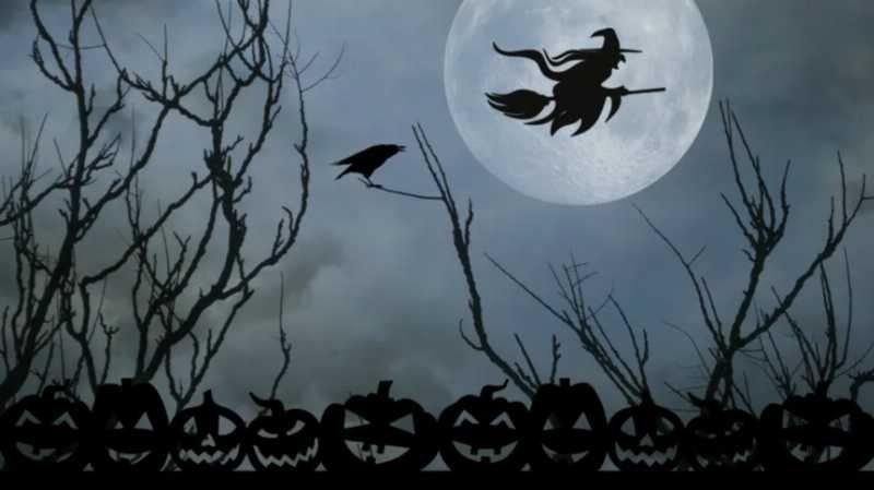 Halloween in Samui: Tropical Vibes - Spooky Twist