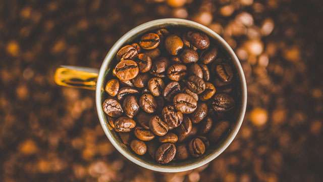 Coffee Culture in Koh Samui: A Thriving Local Ecosystem