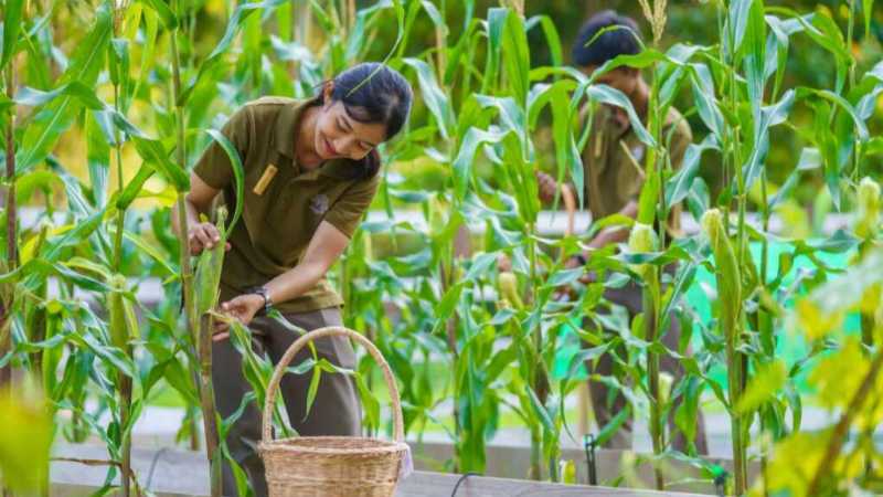 Embracing Local Ingredients and Thai Flavors