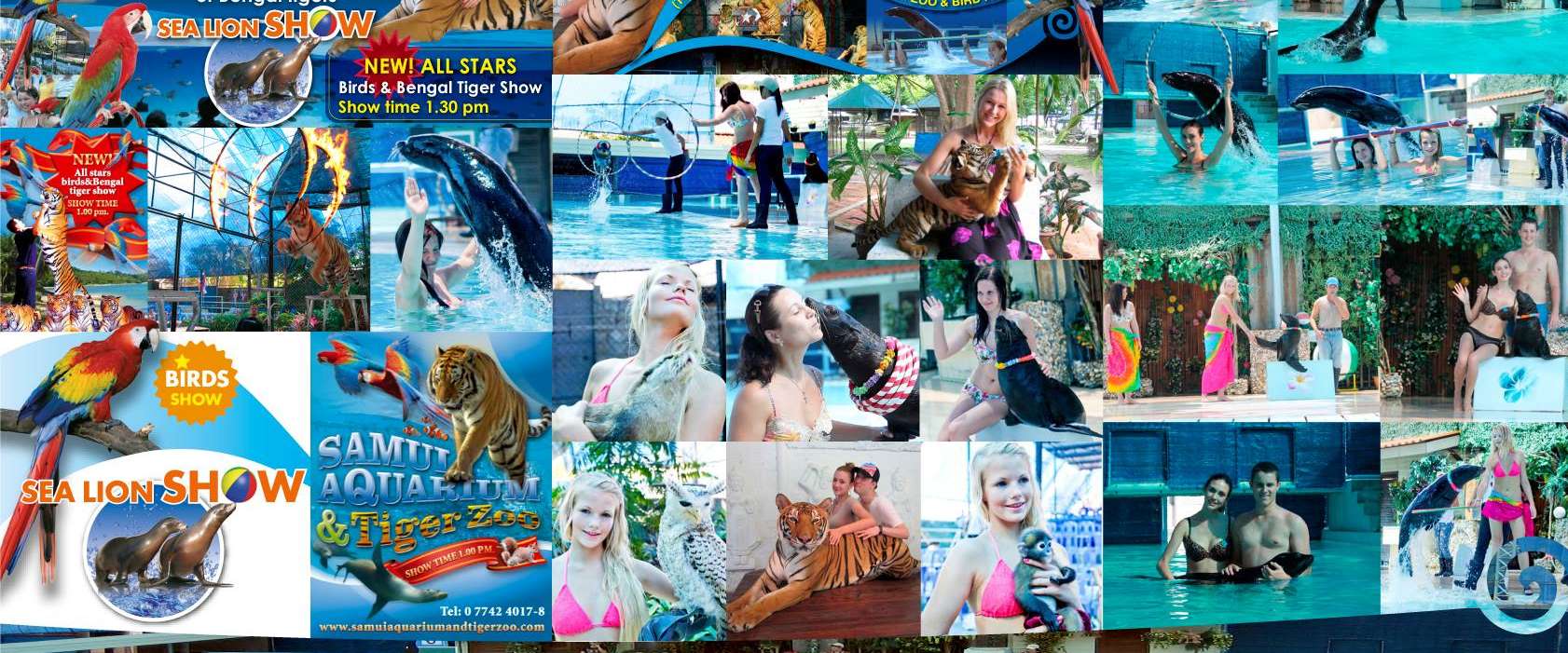 Samui Aquarium & Tiger Zoo 