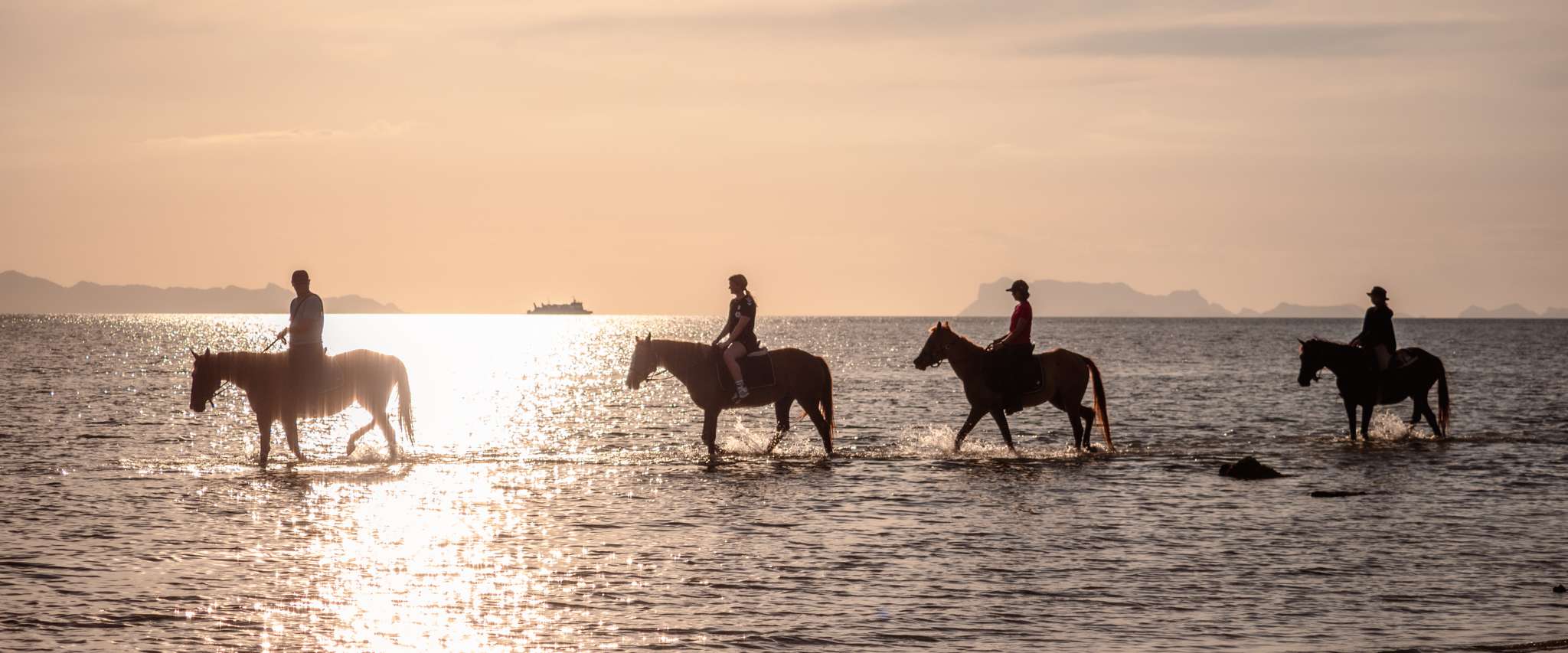 COLTS Horse Riding