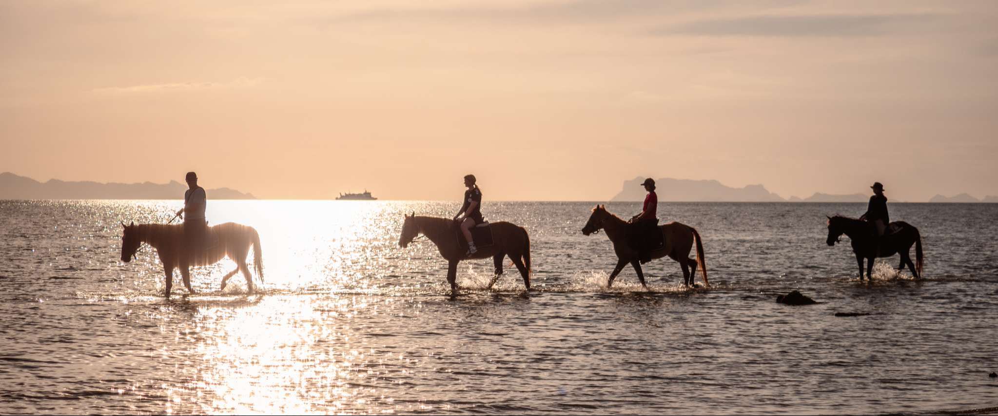COLTS Horse Riding 