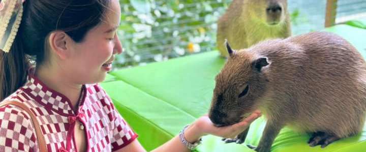 Capybara Coffee