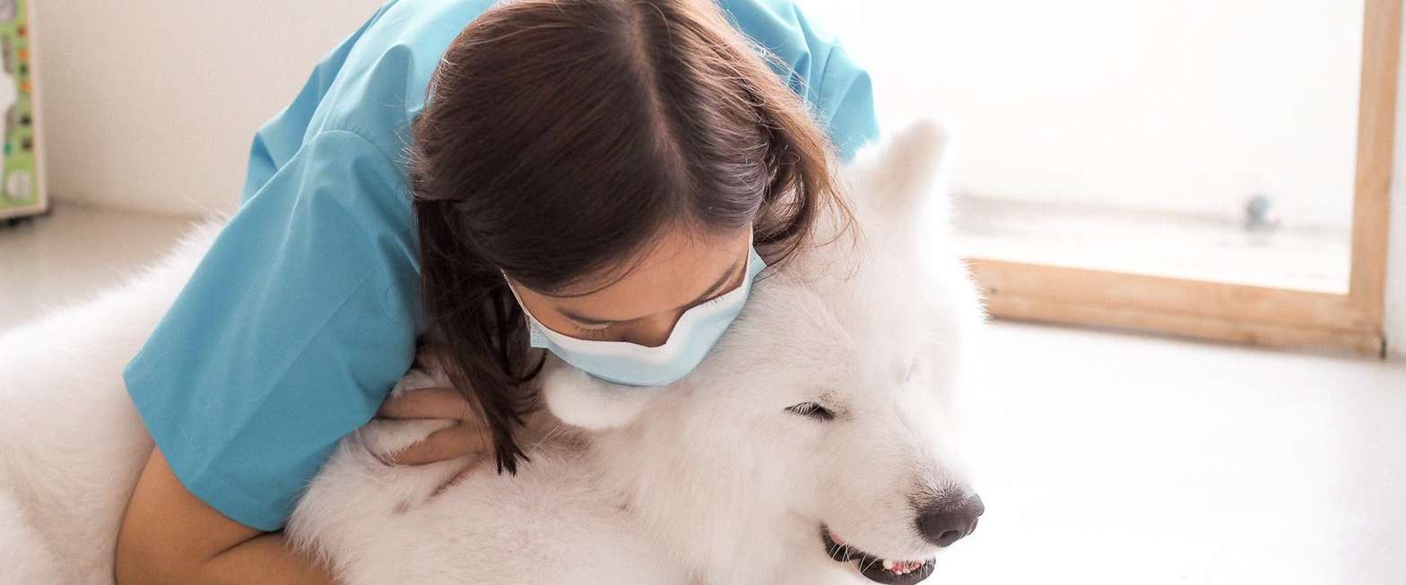 Baanmharimlay Clinic & Grooming 