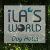 Ila's World Dog Hotel