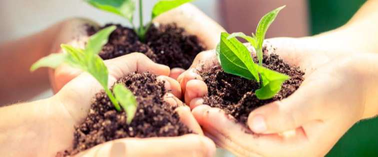 Greenacre International School