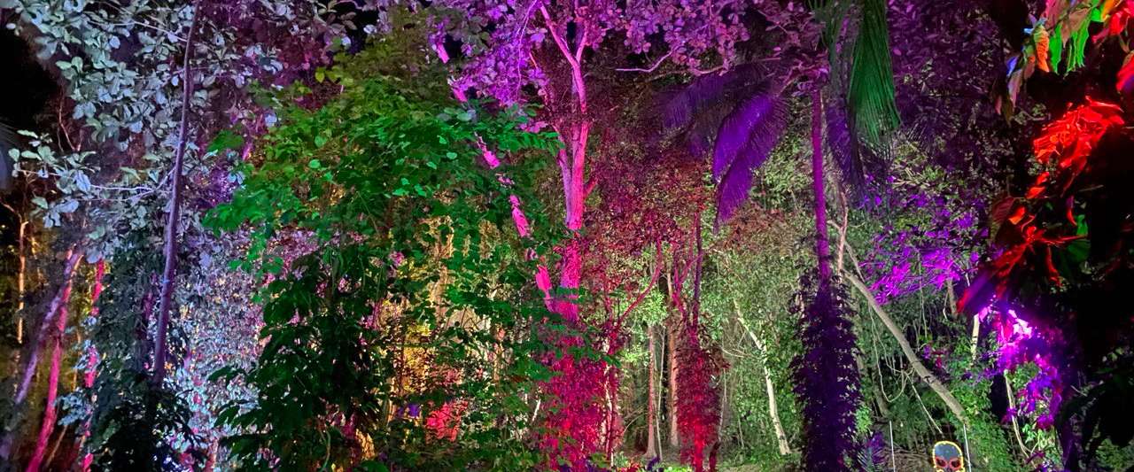 Electric Forest Art Park 