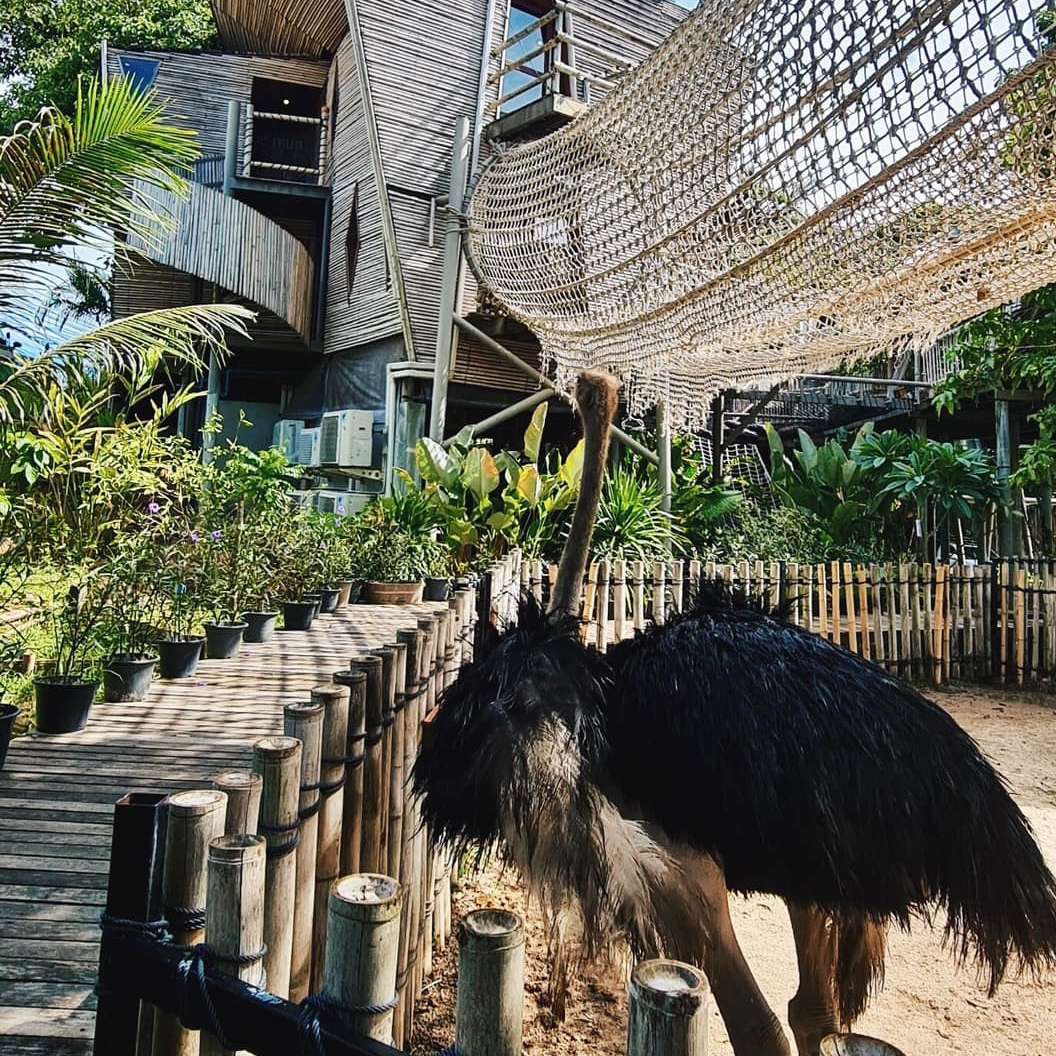 The Mud Coffee and Eco