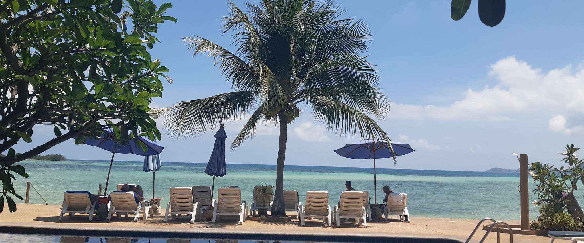 Papillon Resort