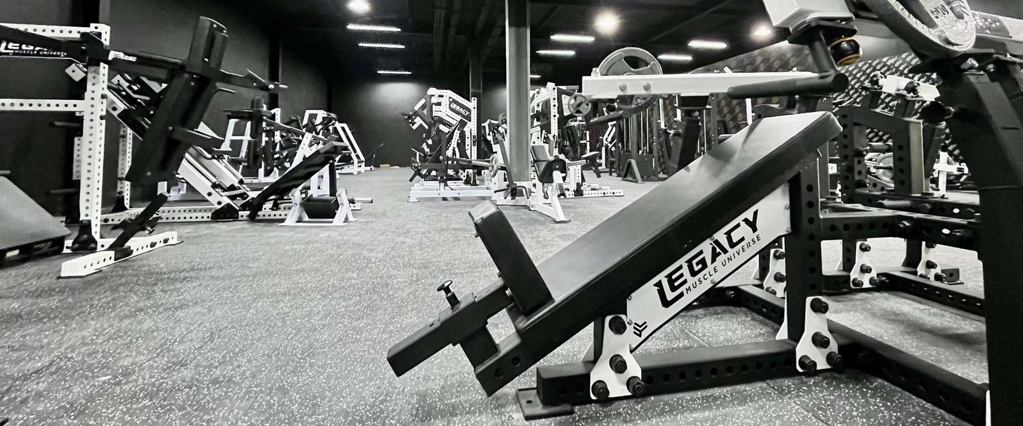 Legacy Muscle Universe 