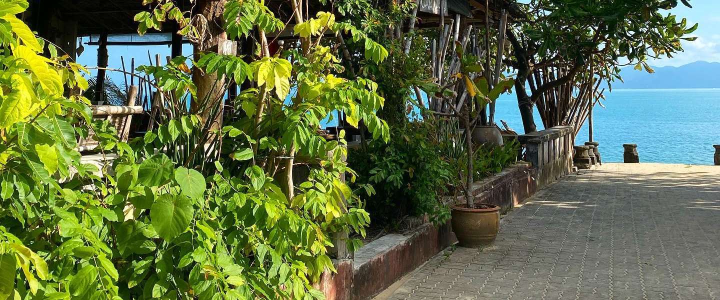 Cafe Talay
