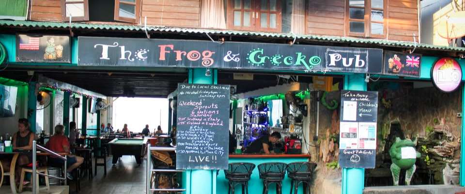 The Frog & Gecko Pub