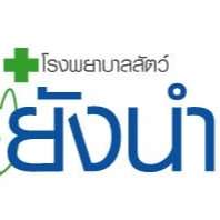 Youngnum Pet Hospital 