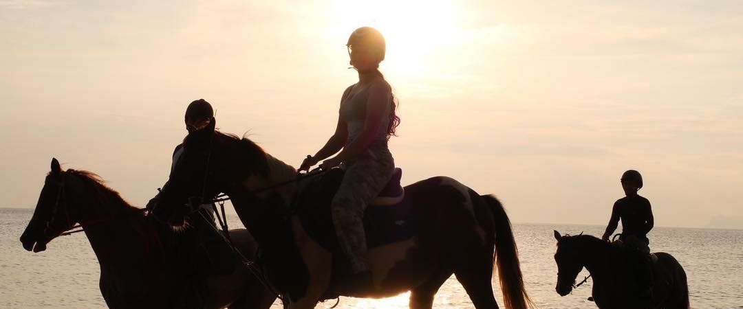 Coco Samui Riding Club