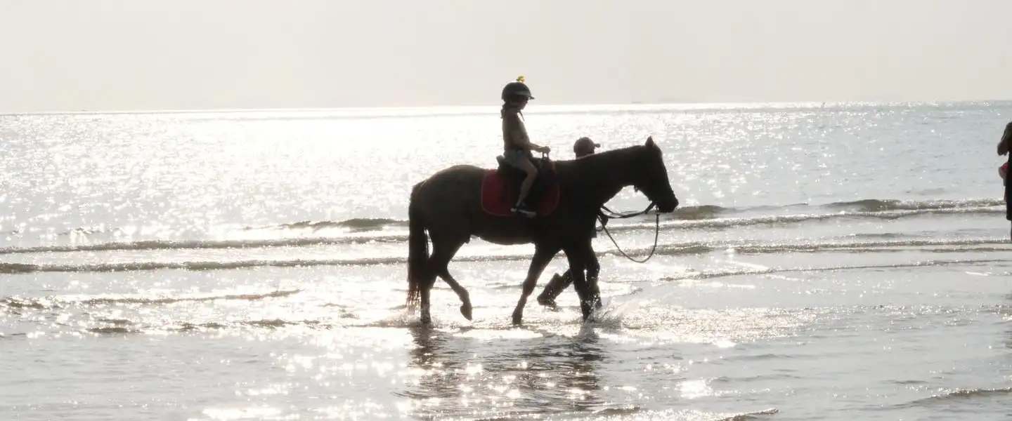 Coco Samui Riding Club