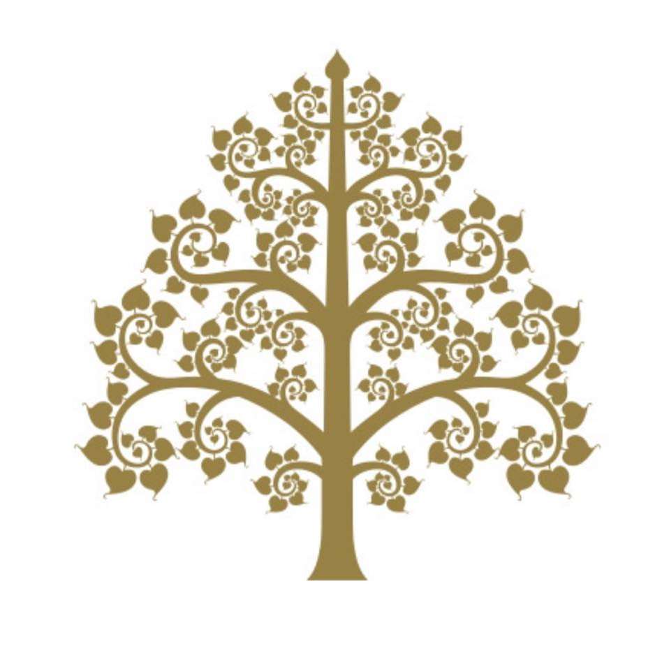 Visit Natural Detox Resort 