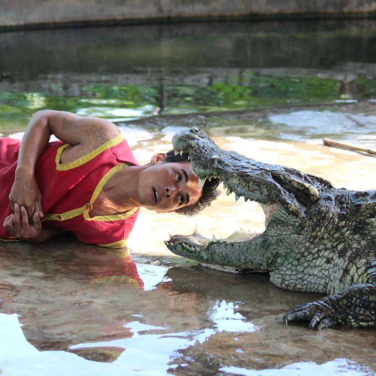 Samui Crocodile Farm 