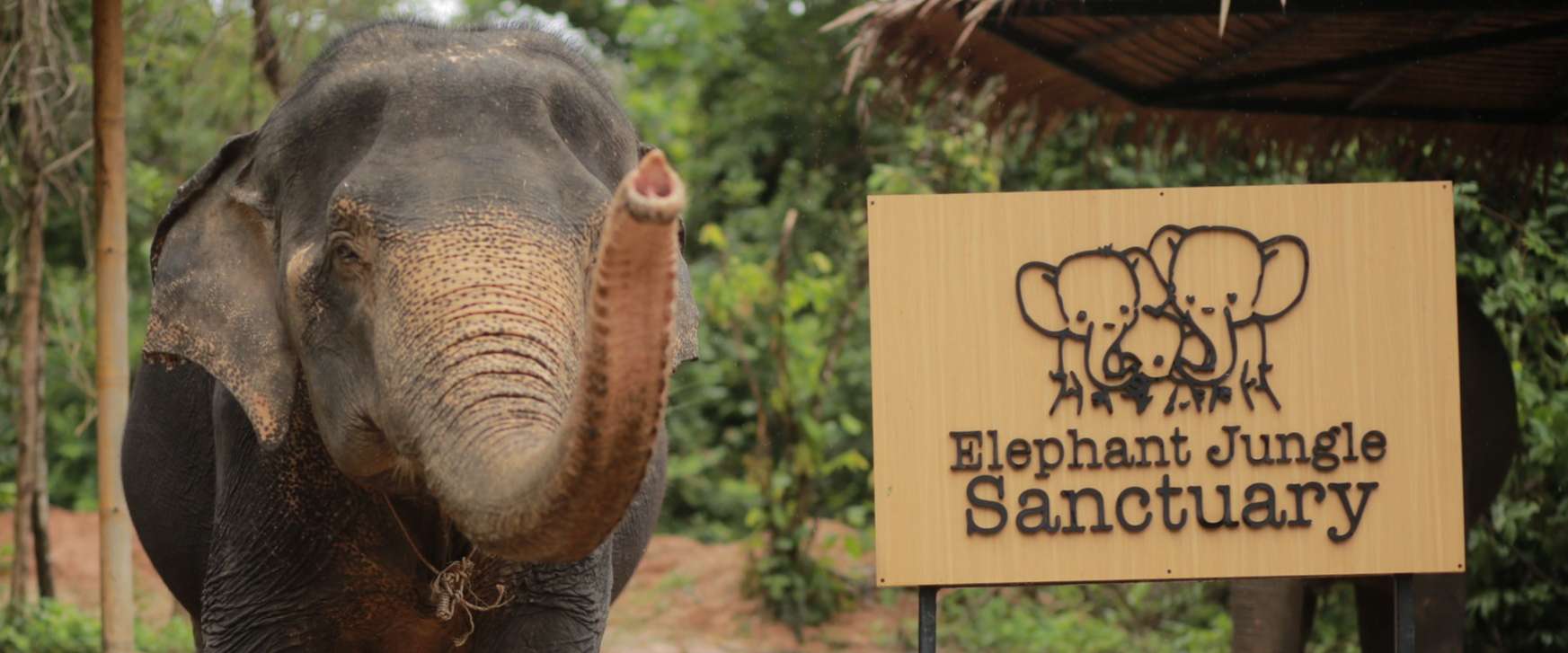 Elephant Jungle Sanctuary 