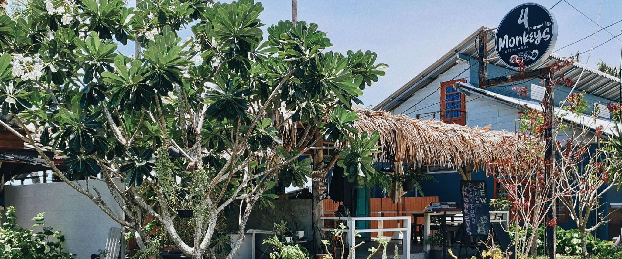 4Monkeys Coffee & Bar