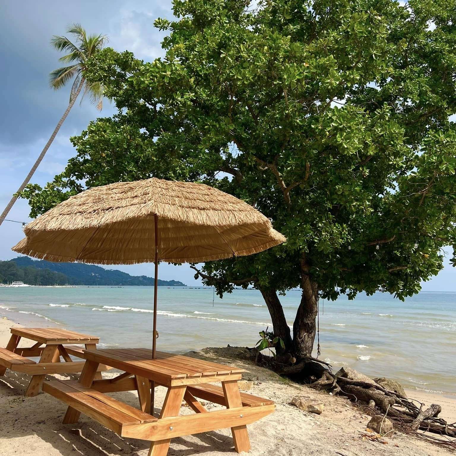 The Reef Bar & Restaurant 