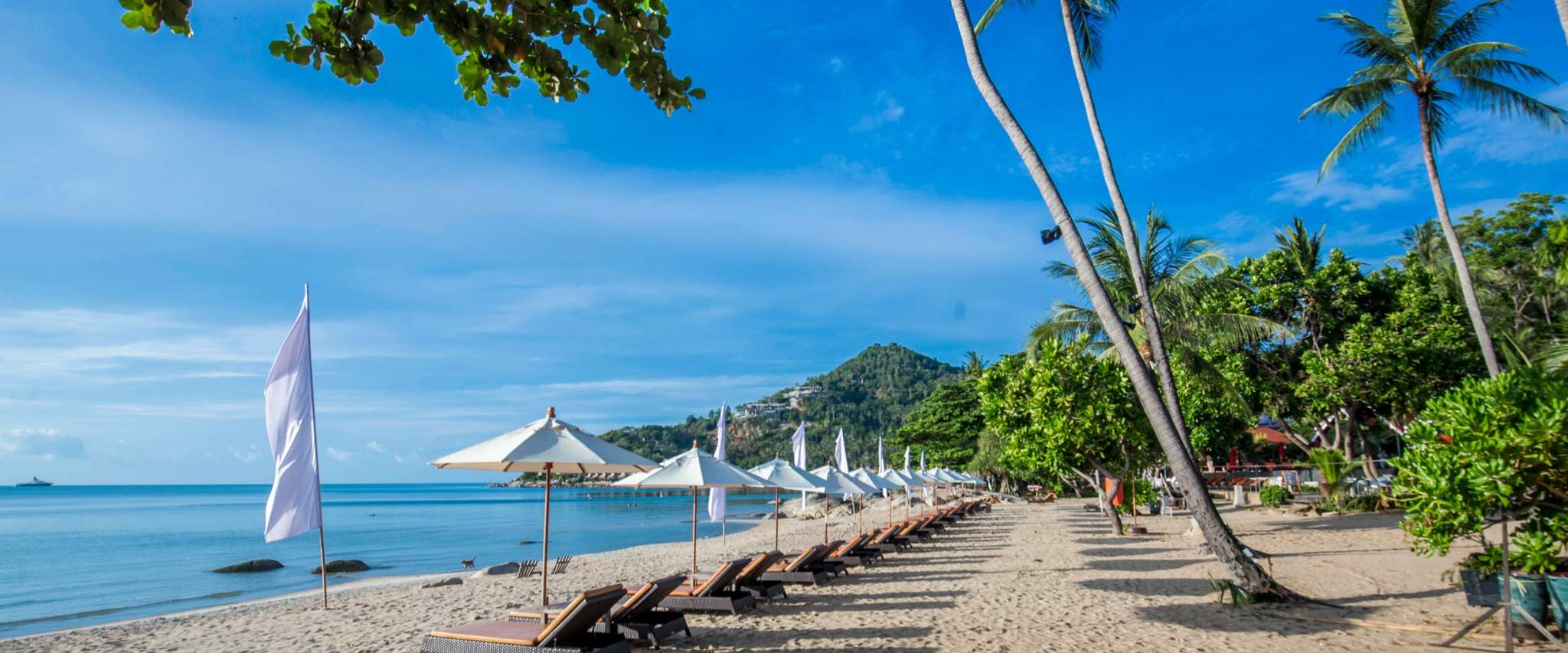 New Star Beach Resort