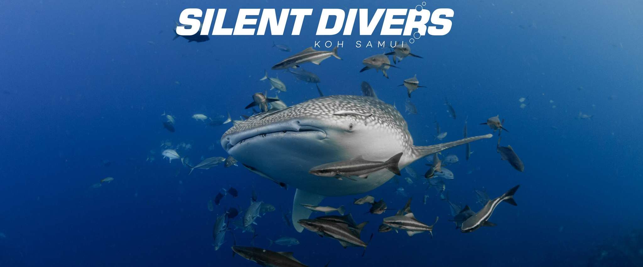 Silent Divers