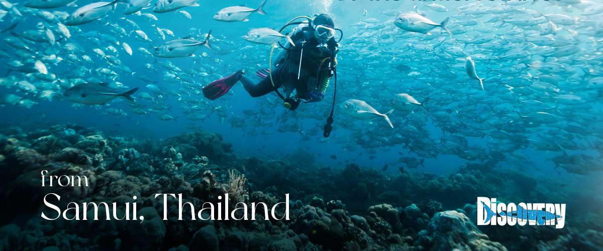 Discovery Dive Centre