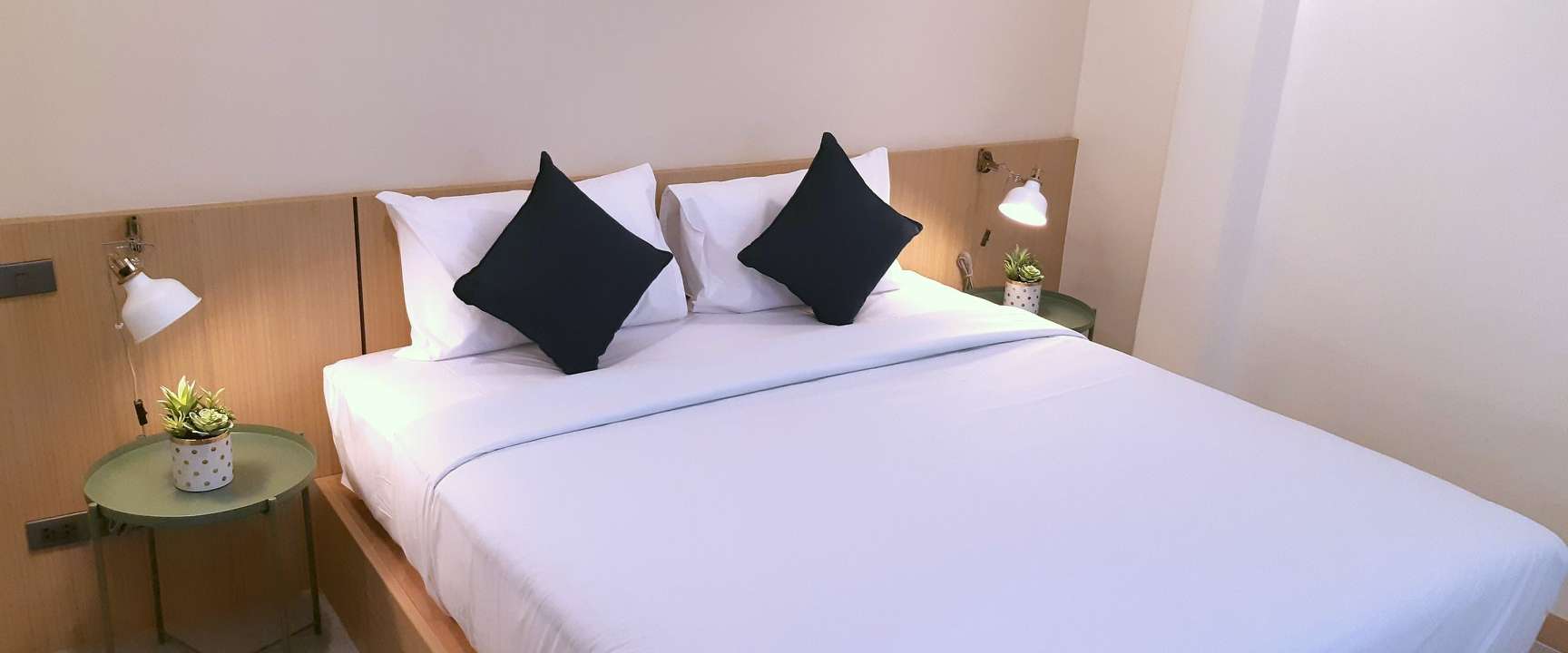 Stay Inn 