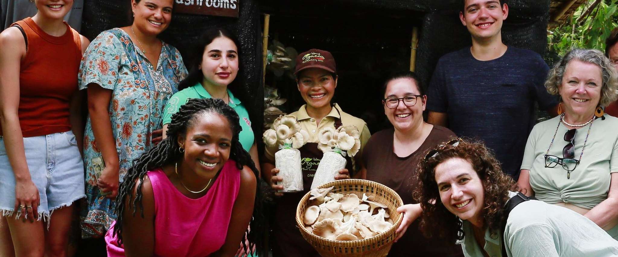 Island Organics