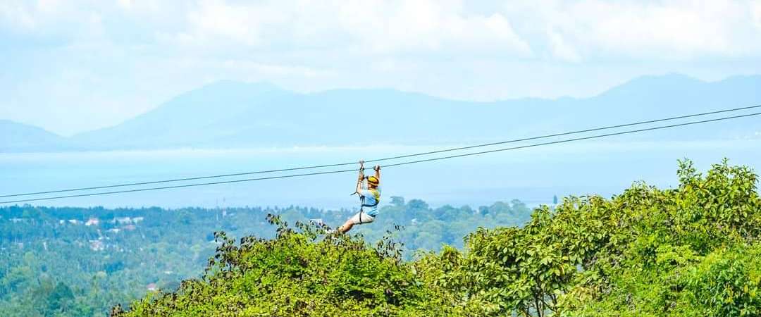 Tree Bridge Zipline Samui