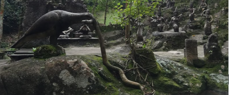 Tarnim Magic Garden