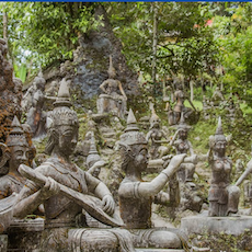 Tarnim Magic Garden