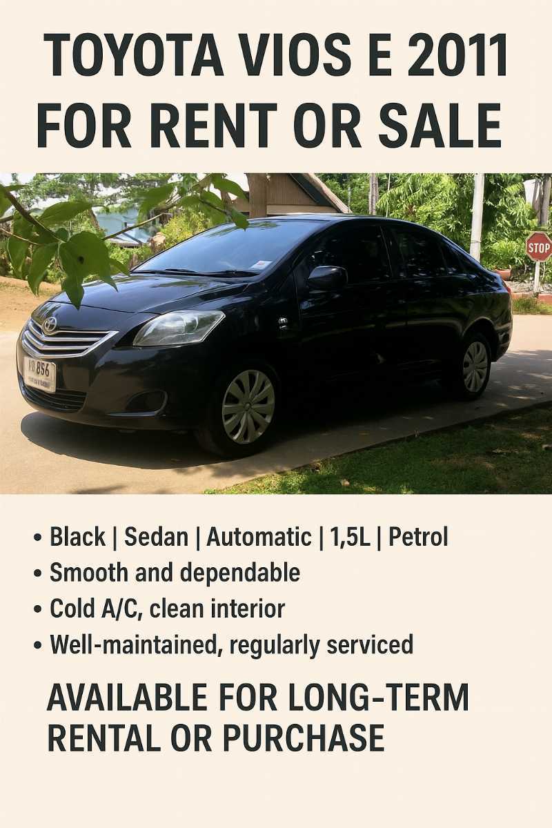 Car promotion sales / rental