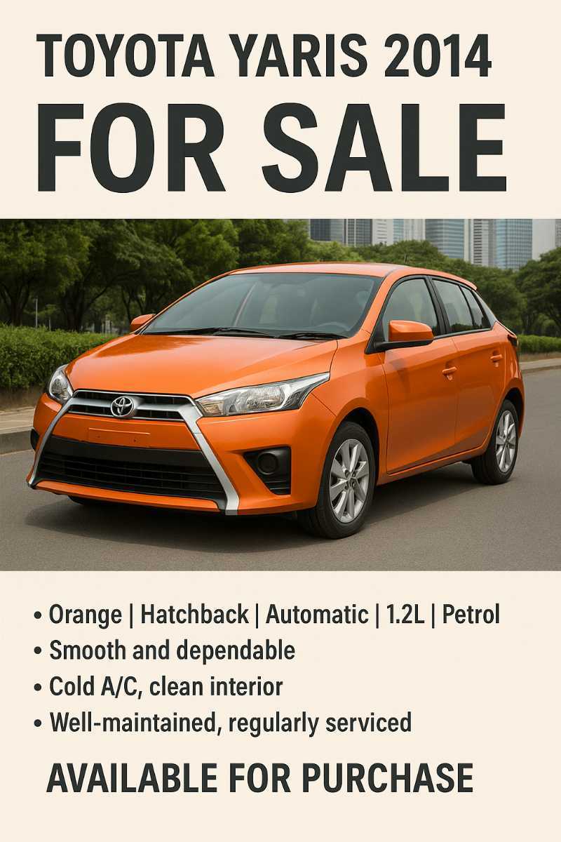 Car promotion sales / rental
