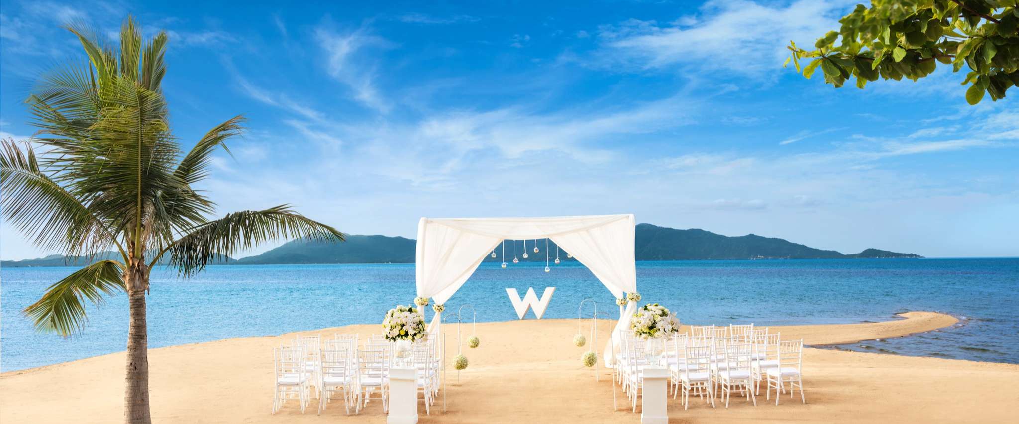 W Weddings