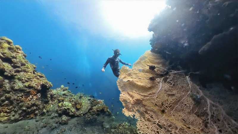 Freediver Course