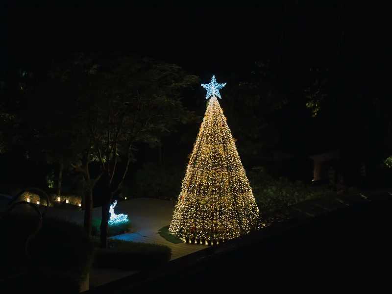 Tree Lighting Ceremony