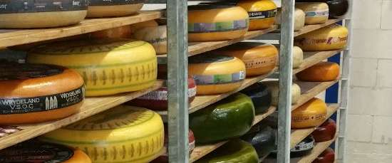 Dutchcheese4you