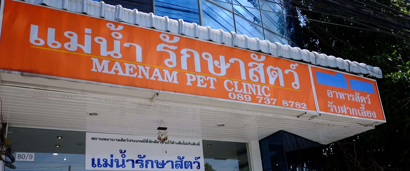 Maenam Pet Clinic