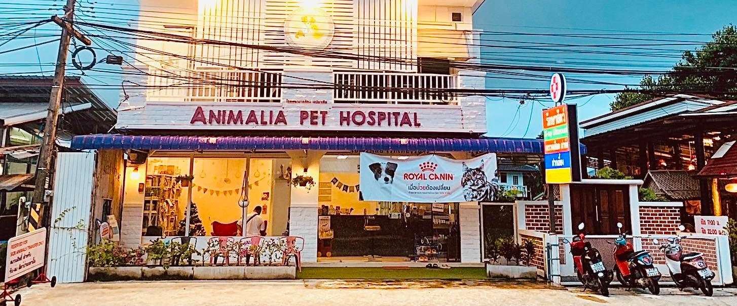 Animalia Pet Hospital