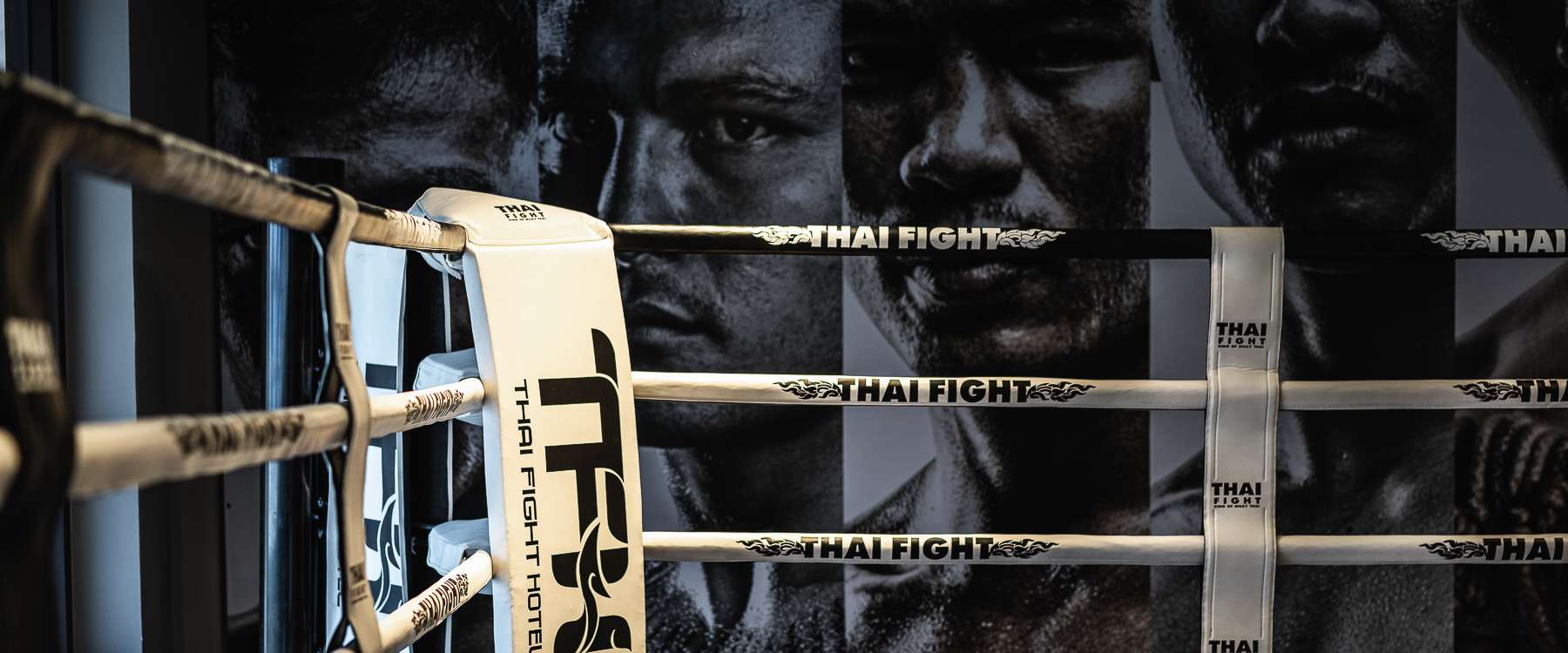 Thai Fight Physports