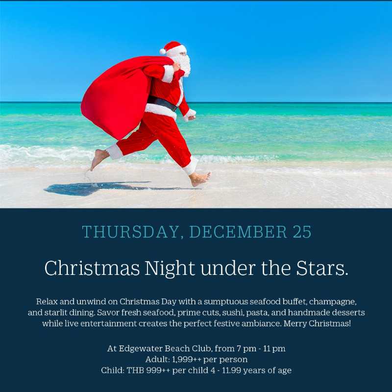 Christmas Night under the Stars