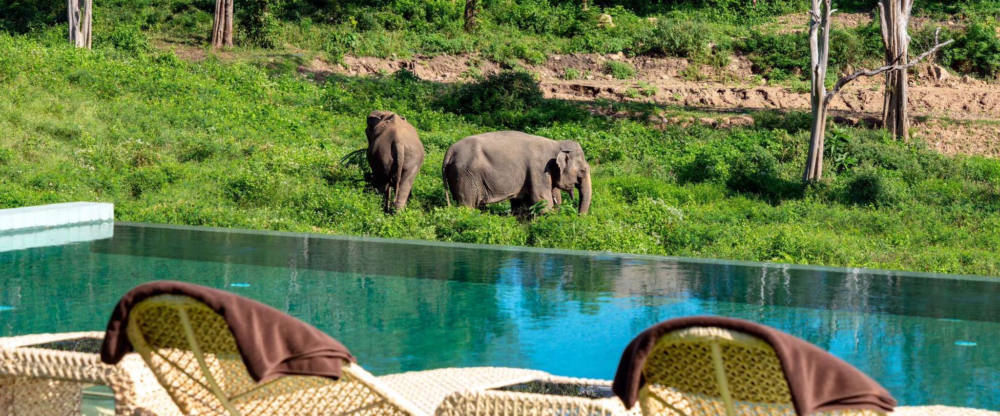 Wild Cottages Elephant Sanctuary Resort 