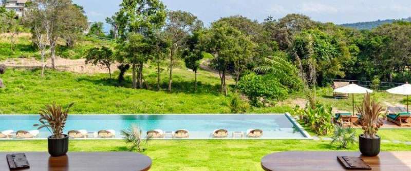 Wild Child Organic Kitchen