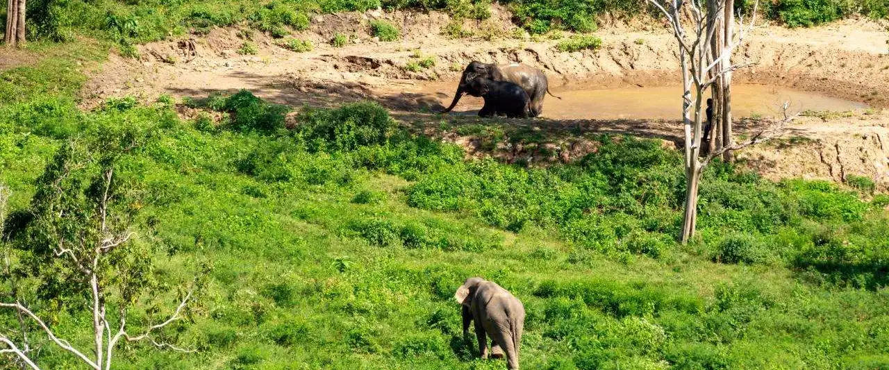 Wild Cottages Sanctuary 