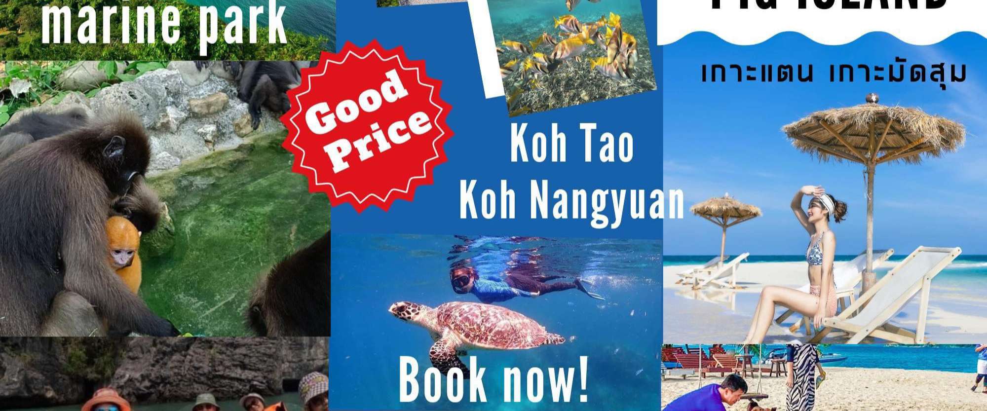 Unique Samui Travel