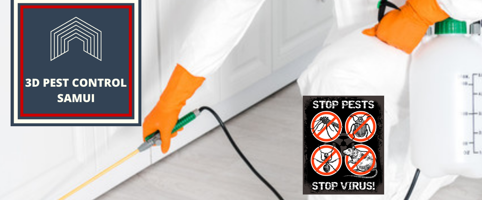 3D Pest Control 