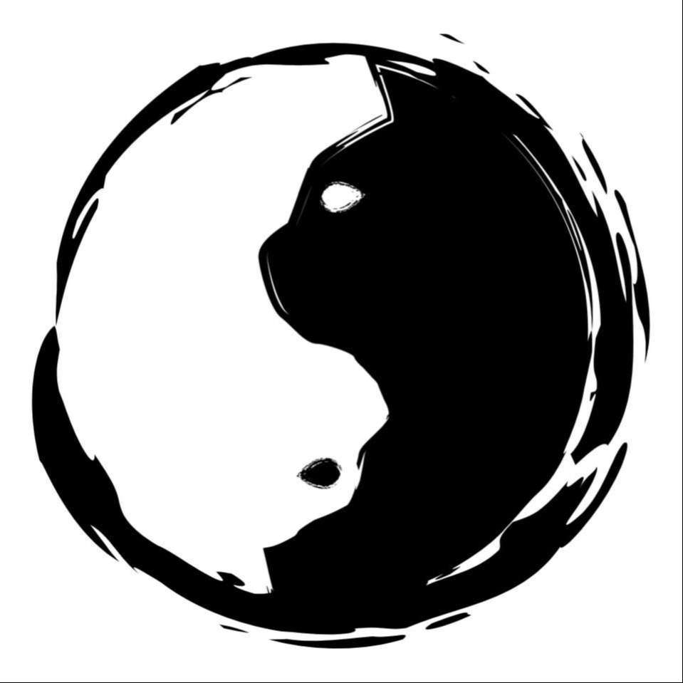 Black Cat & White Cat